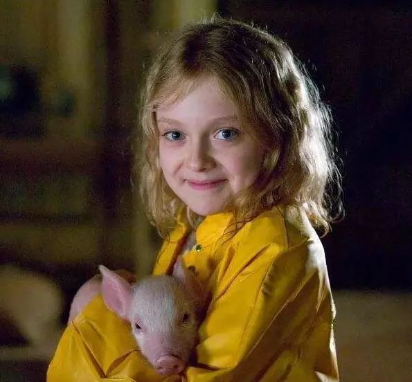 从电影到书,《夏洛的网》告诉了我们什么?