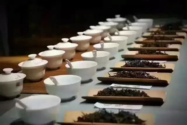 买茶送人一定要避开这些误区