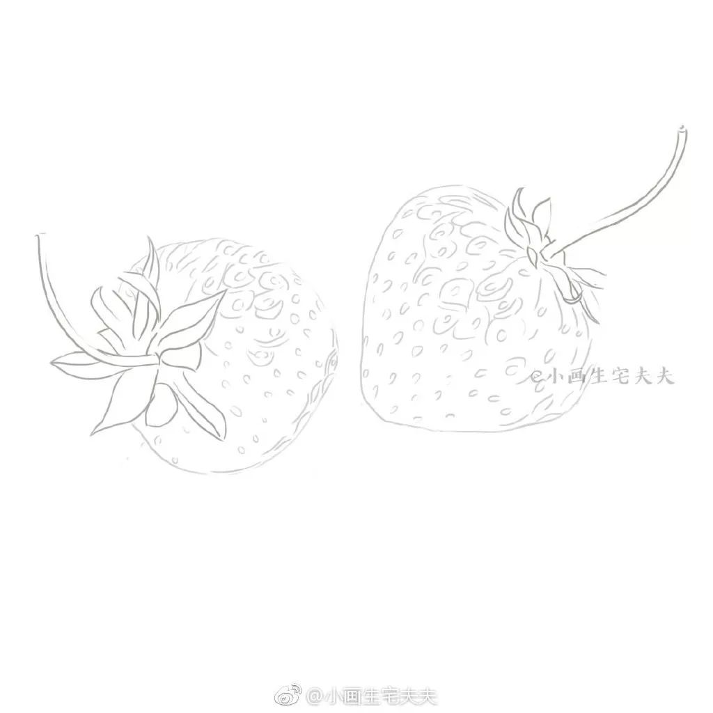 素描草莓步骤图片