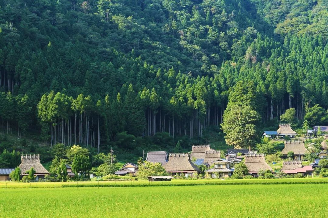 日本最美乡村 - 距离京都1.5小时的世外桃源_北村
