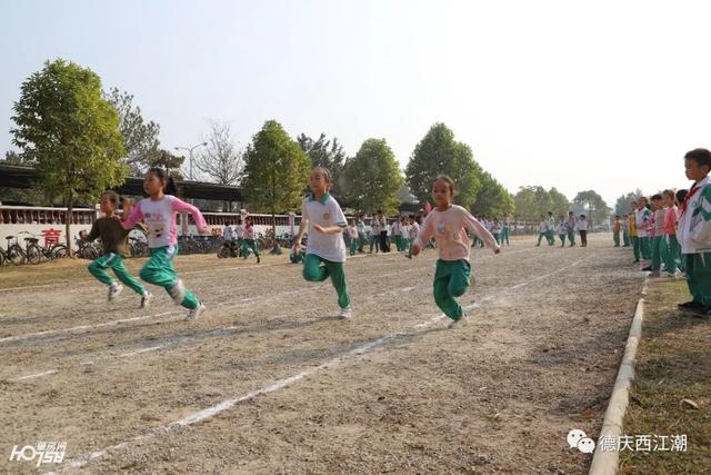 德庆县新圩镇中心小学成功举办第三届绿色文化艺术节(图4)