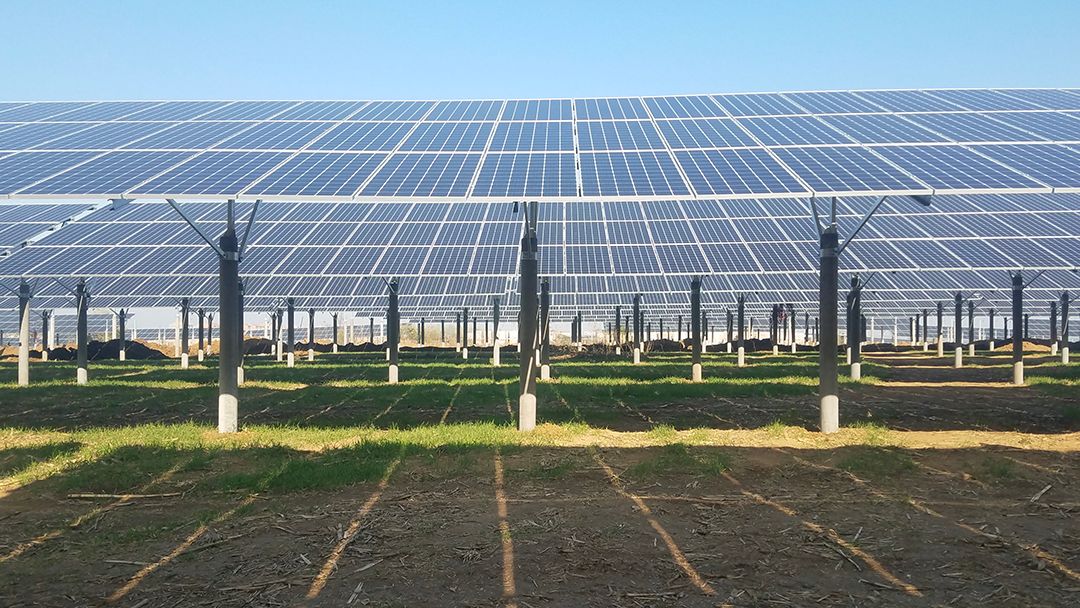 年度攻坚中广核湖北枣阳七方100mwp农光互补光伏项目一次带电成功