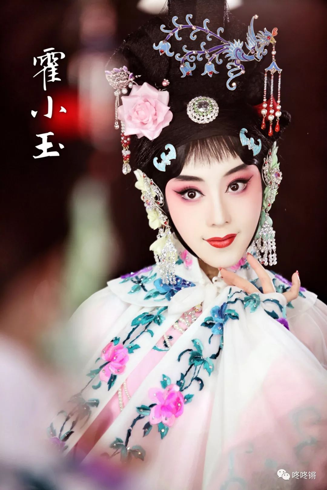 北京戏曲艺术职业学院副教授赵月霞 天津京剧院国家二级演员蓝恭欣