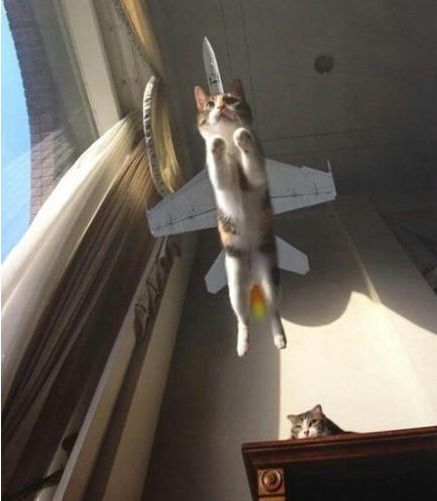 搞笑gif:这姑娘初一见挺漂亮,雨水一淋完全像换了一个人似的