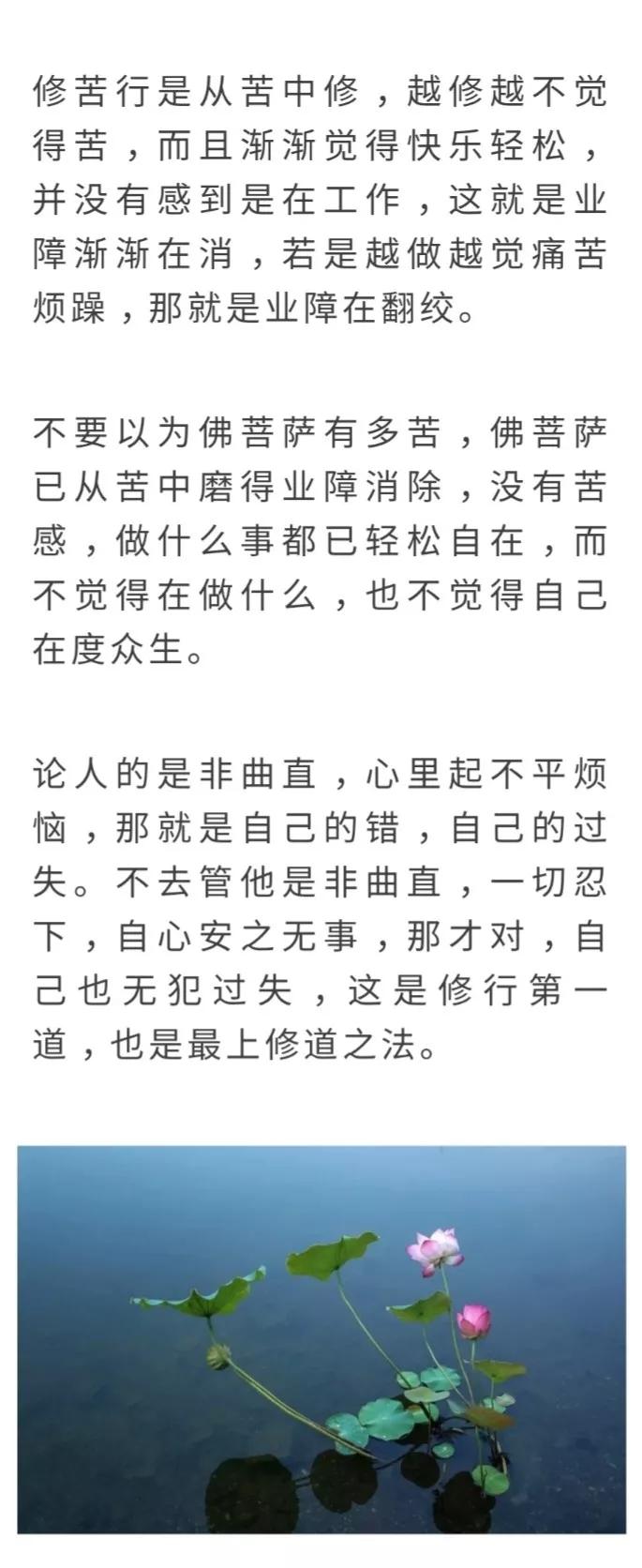 广钦老和尚:烦恼是修行的下手处!