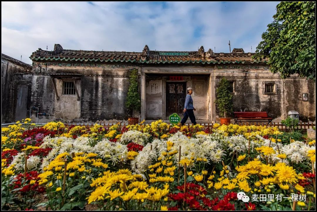 菊池村新景点图片