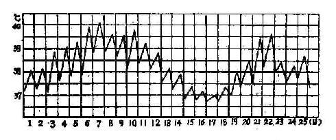 24小时体温变化曲线图图片