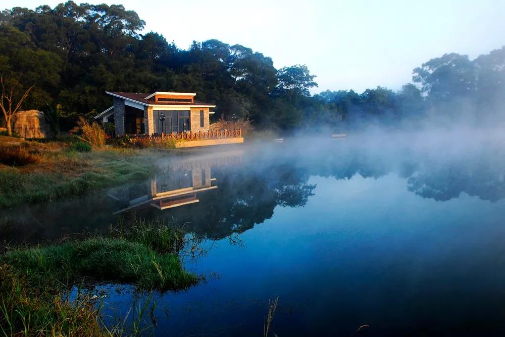 自然生态康养——养生的正确打开方式