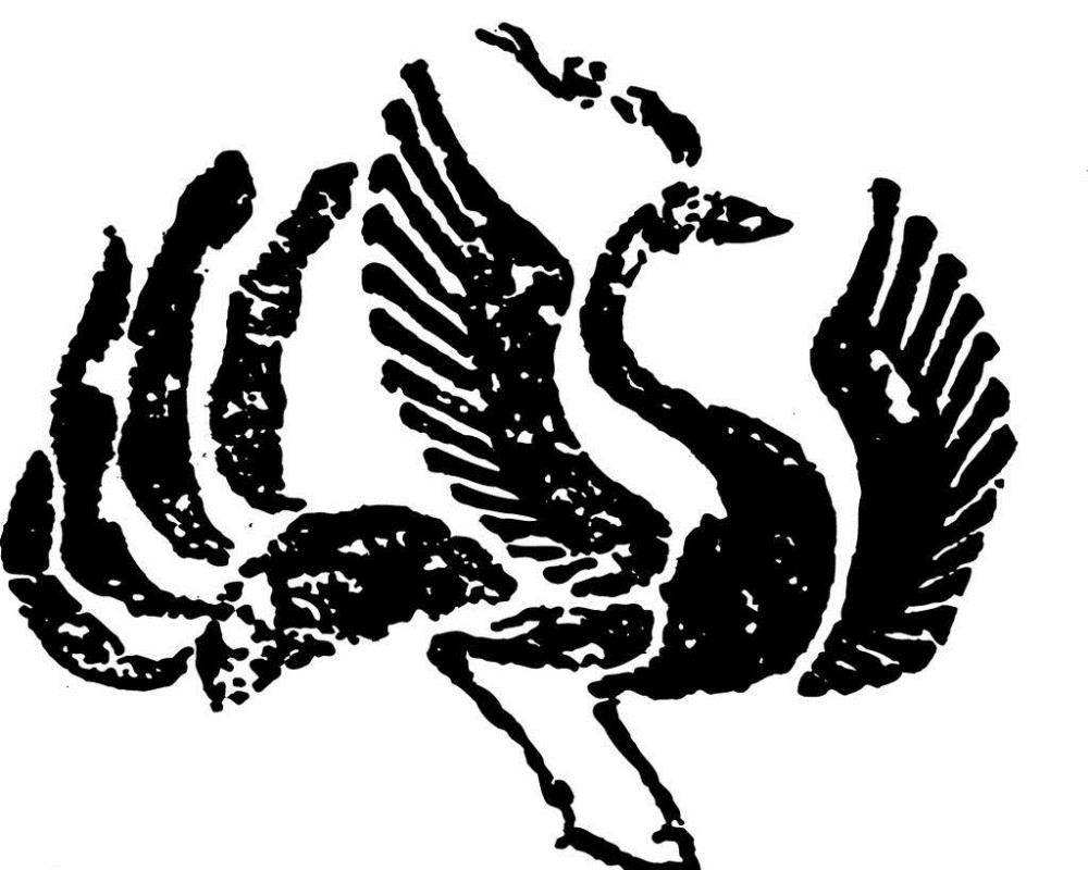 他们崇尚鸟的习俗流传许久,直到今天我们仍旧以"玄鸟"作为中华民族的