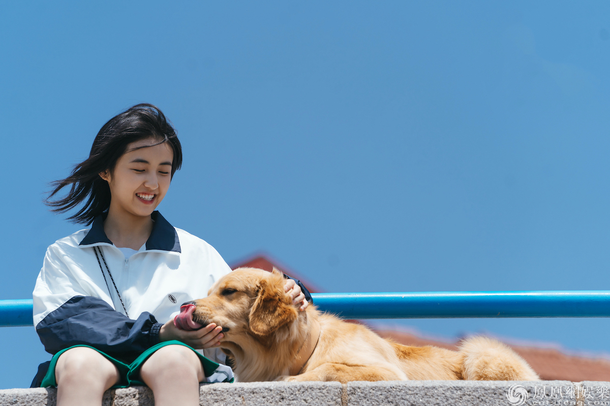 《宠爱》杭州站路演小h打卡探班,张子枫一脸甜蜜_柴犬小