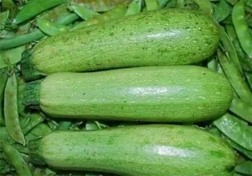 至于你是否还在纠结"东南西北瓜",其实大可没必要,"黑猫白猫,抓到老鼠