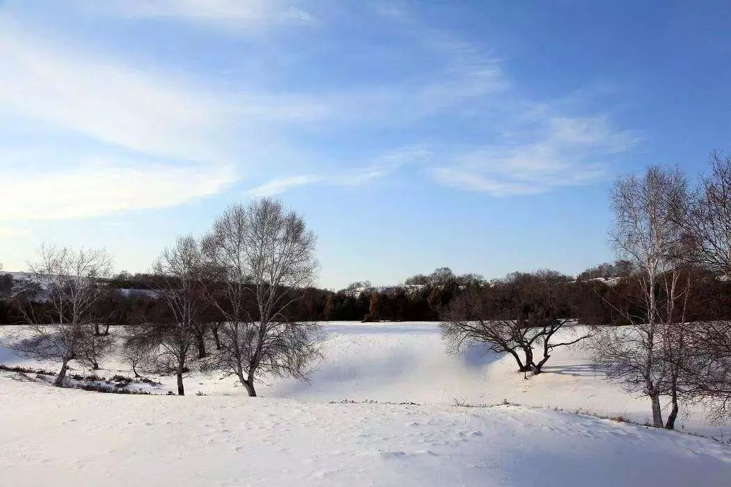 上午:【中国马镇娱雪区】中国马镇—坝上雪原(200km/约3h)第三天5