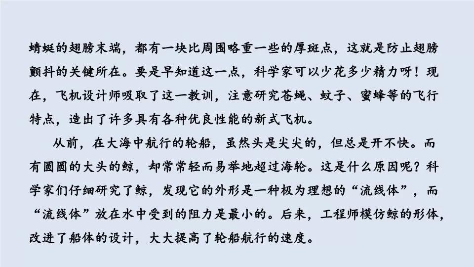 部編版四年級語文上冊第6課蝙蝠與雷達圖文講解知識點梳理