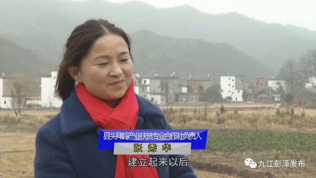 杨梓镇田丰村"果冻橙"产业 助力贫困群众脱贫增收