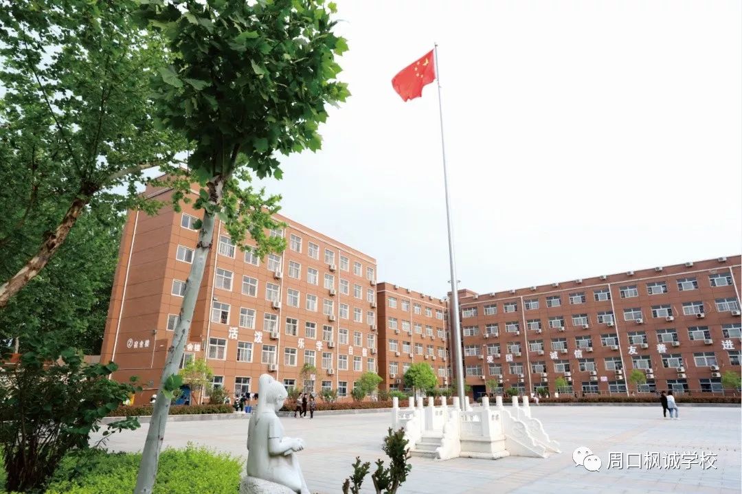 枫诚学校招收春季"插班生"啦~_周口