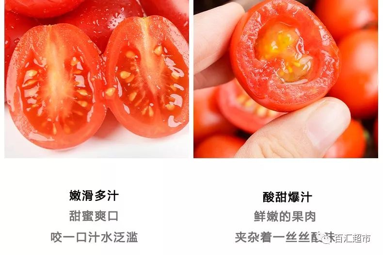 虽然千禧果的个头比圣女果小,但营养成分却更胜一筹千禧圣女果,基地直