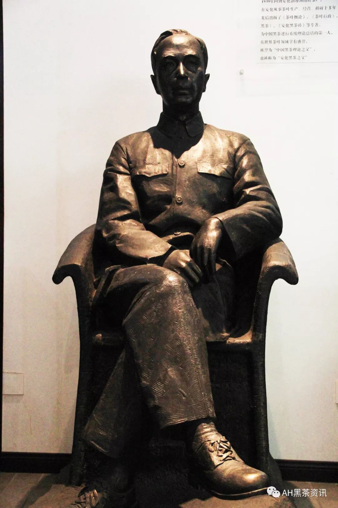 黑茶理论之父彭先泽