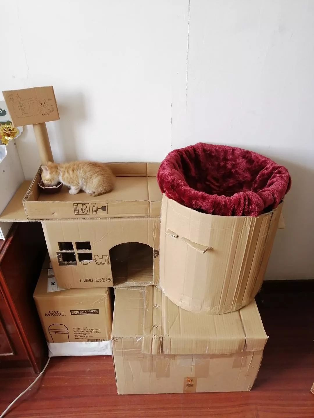 用快递纸箱做的猫别墅