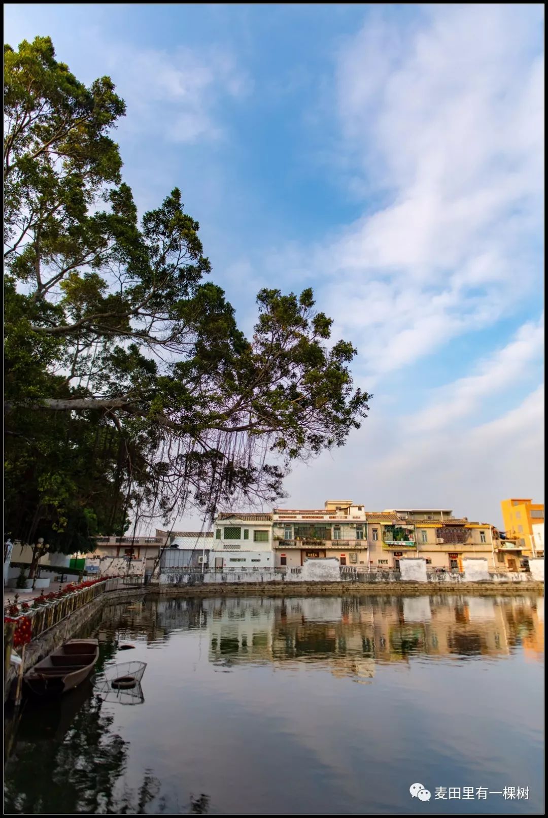 菊池村新景点图片