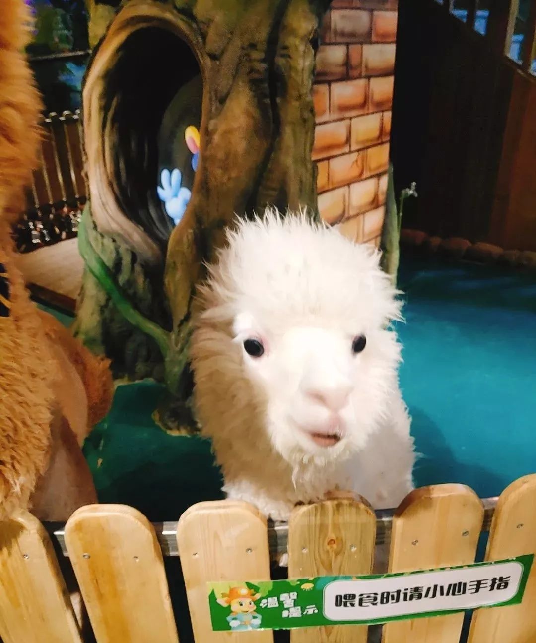 东瓯世贸广场节假日通用哈尼鹿儿童梦幻王国拥有3000m2娱乐设施小朋友