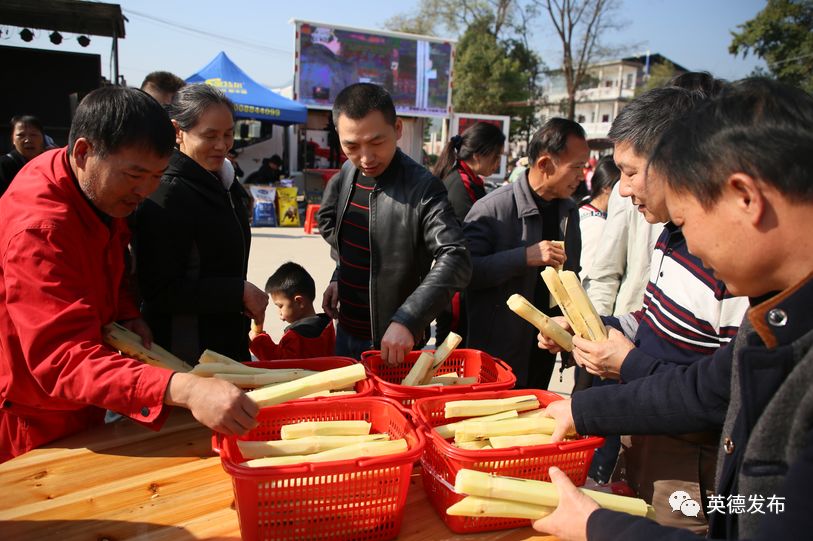 设有削甘蔗,运甘蔗等与当地农民群众息息相关的竞赛项目,平日里在田间