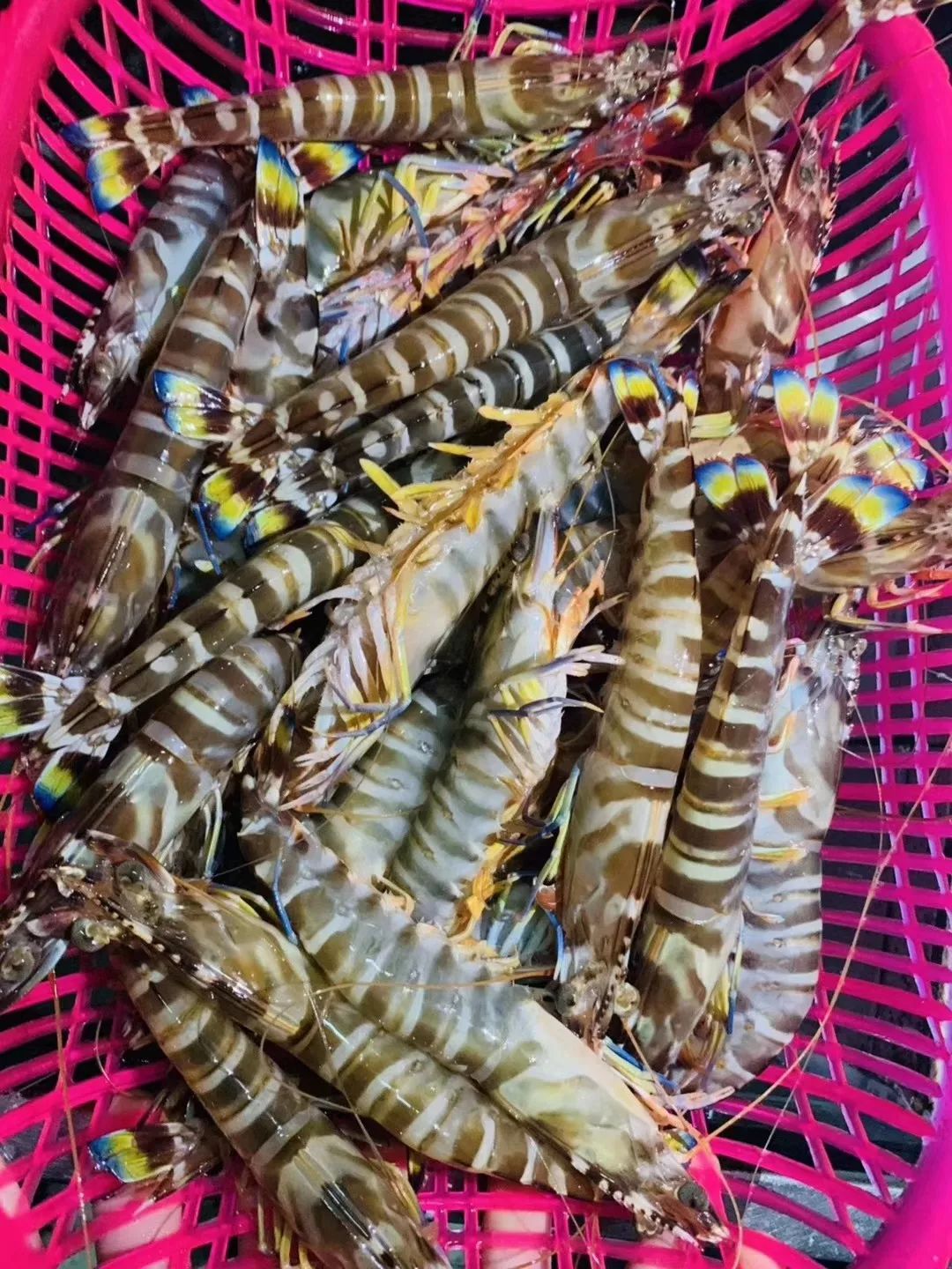 最好的余生:有家回,有人爱,有饭吃