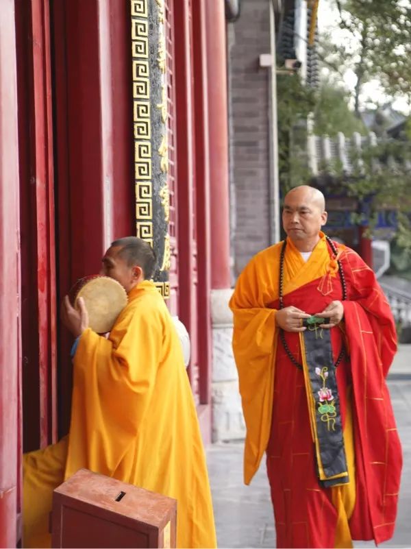 释贤竹简介图片