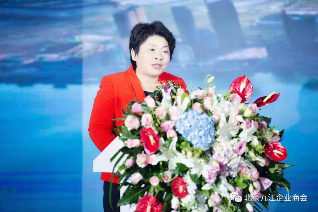 八里湖新区管委会主任刘武爱致推介词北京金利来源投资集团董事长