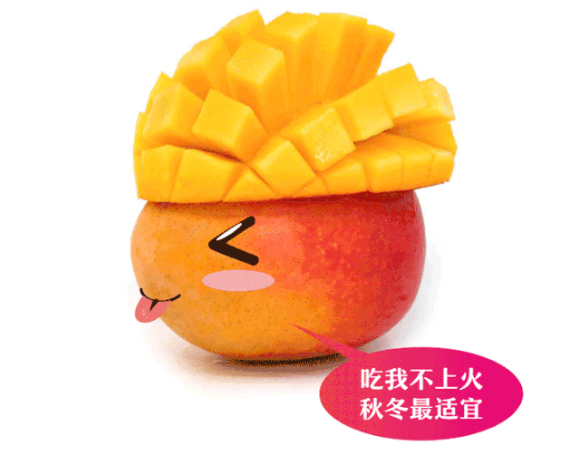 639_502gif 动态图 动图