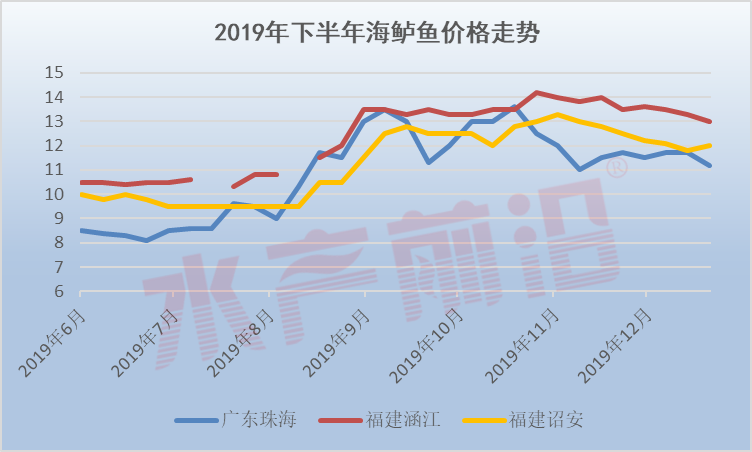 2-1.3斤规格海鲈价格走势