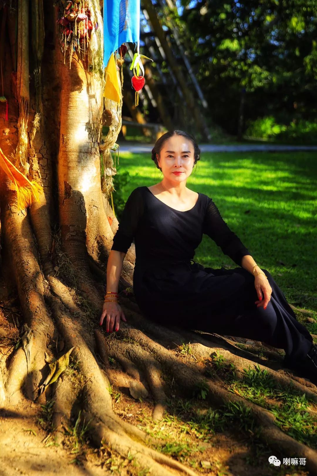 田野民宿的黄昏露珠炮仗花买茶叶:碎银子,老树普洱,小青柑也可以找我!