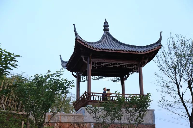 仿古的纳凉亭,宫灯造型的庭院灯,绿树环绕的园路,原生态布置的旱溪