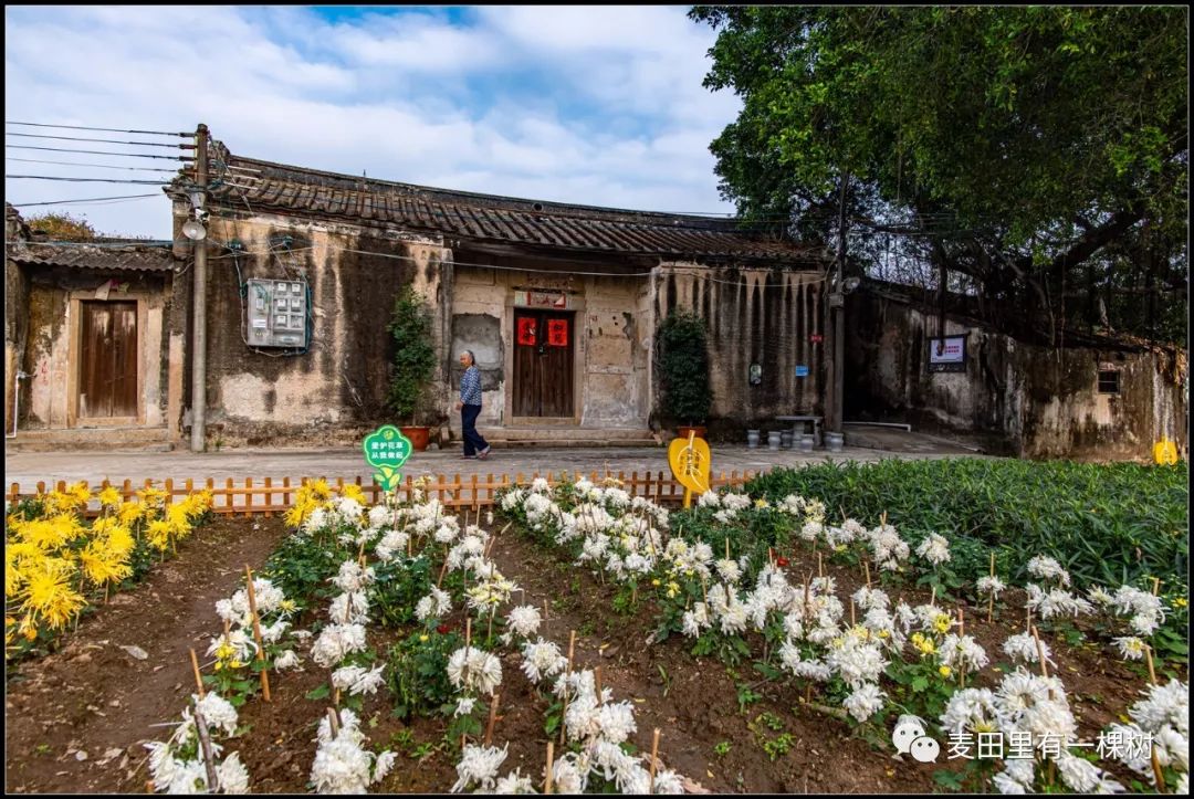 菊池村新景点图片