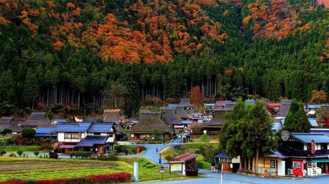 日本最美乡村 - 距离京都1.5小时的世外桃源_北村
