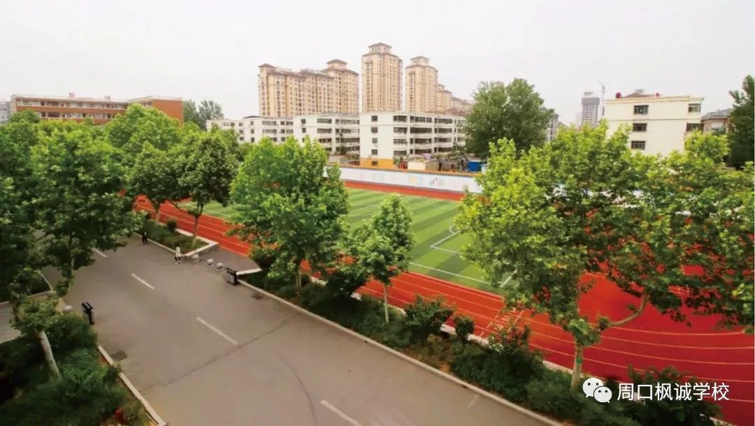 枫诚学校招收春季"插班生"啦~_周口