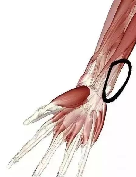 手腕一条"筋",揉开治失眠!