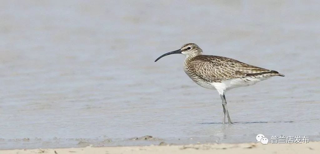 【原创连载】碧流河往事(二)