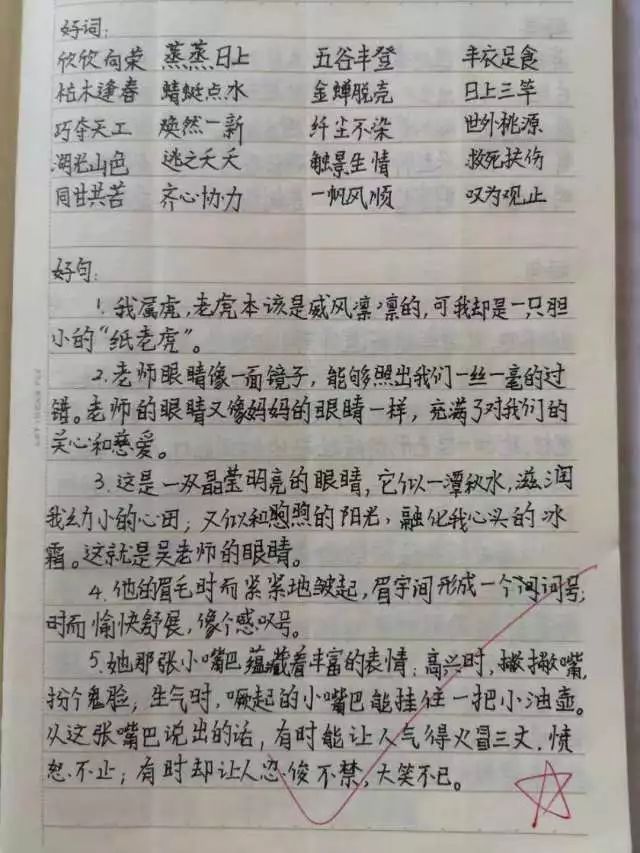 晒晒我们的采蜜本选择最喜爱的书籍制作读书卡全班共读好书:《小狼