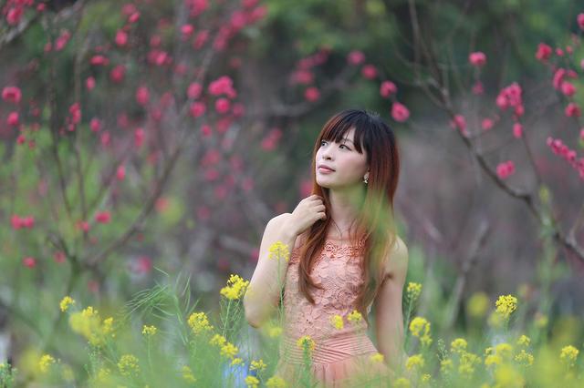 原创2020年桃花爱情降临抱得美人归找到心爱之人