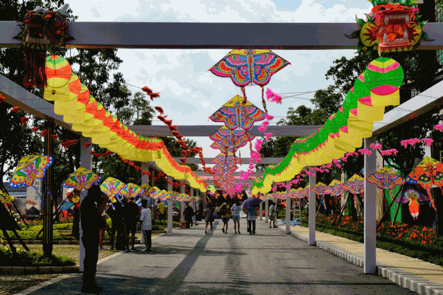 周末去哪儿放风筝游砚洲到肇庆来一场乡村休闲游