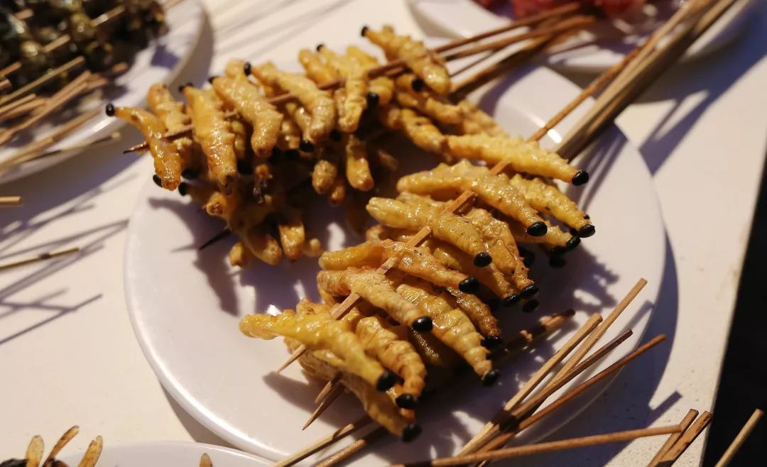 云南人,才真的什么都敢吃