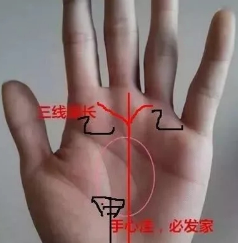 三种大富大贵的手相事业线
