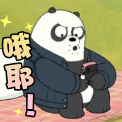 珠海又将新增跨海通道!明年6月有望动工