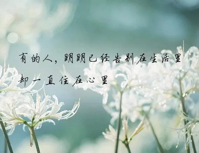 一个人只要不再想要就什么都可以放下