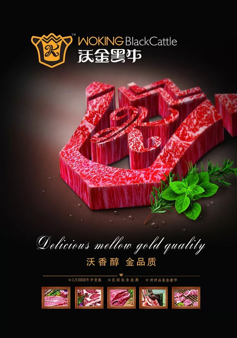 牛肉行家丨牛肉中的国货之光沃金黑牛如何在世界牛肉品牌中崭露头角