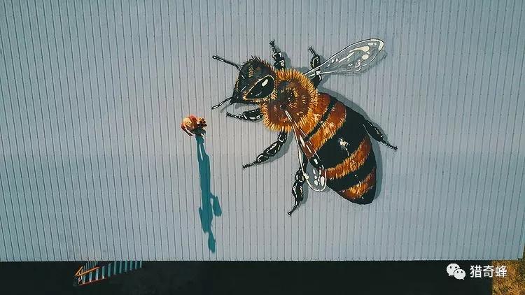 艺术家周游世界画50000只蜜蜂只为.