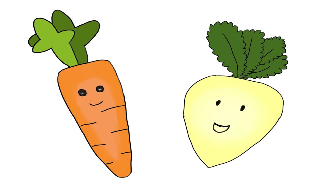 赛人参的白萝卜,冬季吃它简单又健康