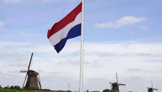 荷兰国旗表情图片