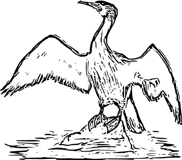 苗族民间故事两伙伴做生意