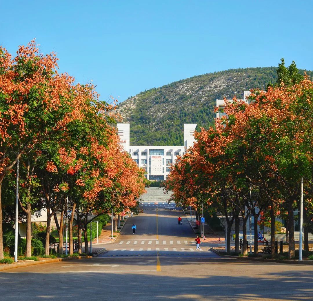 校考资讯山东艺术学院2020年招生简章省外